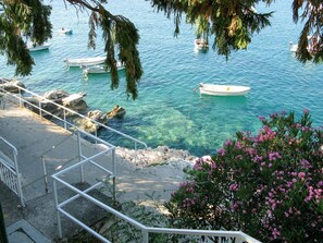 Water, Vacation, Tree, Sea, Bay, Tourism, Coastal And Oceanic Landforms, Coast, Tropics, Palm Tree