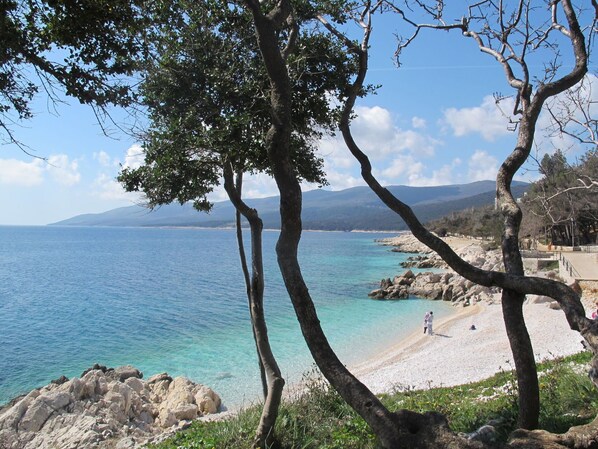 Baum, Natur, Meer, Küste, Himmel, Azurblau, Ufer, Ast, Gehölz, Strand