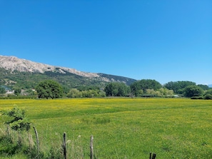 Mountainous Landforms, Grass, Green, Tree, Natural Environment, Hill, Mountain, Natural Landscape, Grassland, Vegetation