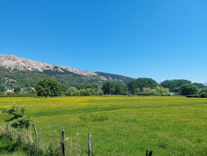 Mountainous Landforms, Grass, Green, Tree, Natural Environment, Hill, Mountain, Natural Landscape, Grassland, Vegetation