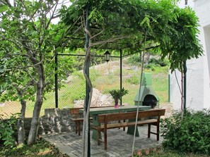Baum, Bank, Botanik, Möbel, Tabelle, Garten, Pflanze, Garten, Gehölz, Frühling