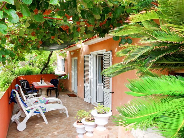 Property, House, Real Estate, Building, Majorelle Blue, Room, Botany, Tree, Home, Plant