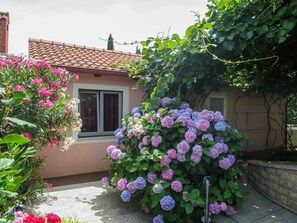 Blume, Pflanze, Eigentum, Gebäude, Fenster, Himmel, Blatt, Wolke, Haus, Vegetation