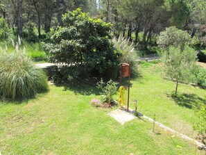 Plant, Property, Plant Community, Natural Landscape, Tree, Land Lot, Grass, Landscape, Groundcover, Grassland