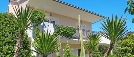 Ciel, Bâtiment, Propriété, Communauté Des Plantes, Plante, Fenêtre, Bleu Azur, Maison, Arecales, Végétation