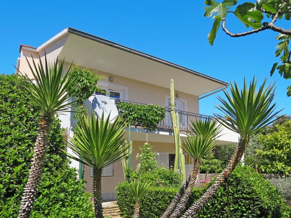 Ciel, Bâtiment, Propriété, Communauté Des Plantes, Plante, Fenêtre, Bleu Azur, Maison, Arecales, Végétation