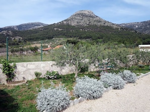 Région Sauvage, Botanique, Communauté Des Plantes, Arbre, Printemps, Montagne, Jardin, Chaparral, Plante, Fleur