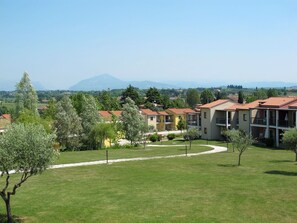 Plant, Sky, Building, Tree, Natural Landscape, Land Lot, Window, Urban Design, Neighbourhood, Grass