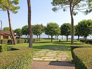 Planta, Cielo, Propiedad, Árbol, Sombra, El Terreno Del Lote, Superficie De La Carretera, Vegetación, Diseño Urbano, Ocio