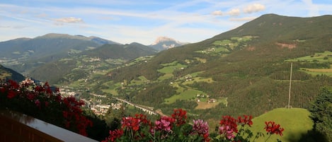 Flower, Cloud, Sky, Plant, Mountain, Property, Slope, Natural Landscape, Tree, Landscape