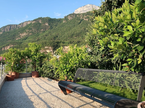 Sky, Plant, Property, Plant Community, Outdoor Bench, Mountain, Natural Landscape, Flowerpot, Outdoor Furniture, Land Lot