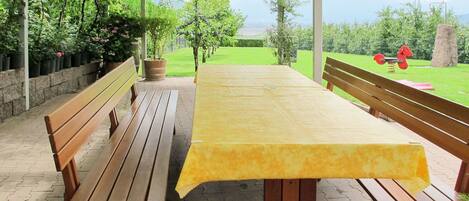 Table, Plant, Property, Furniture, Green, Botany, Tree, Nature, Shade, Wood