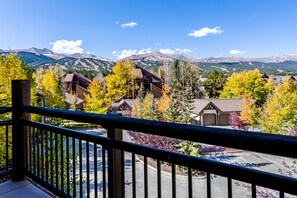 Patio views