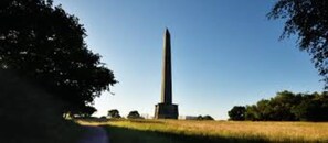 Famous Weillington Monument on the Blackdown hills an area of outstanding beauty