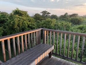 Seating on the top deck