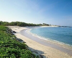 Magic Beach and Coastline