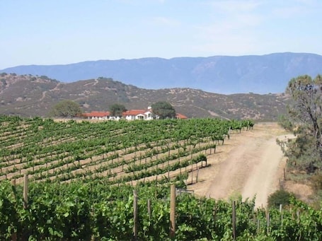 Inn at the Pinnacles & Brosseau Vineyard