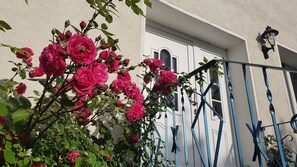 Detalj exteriör