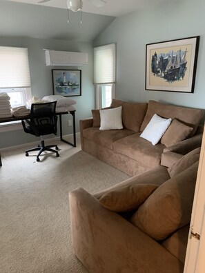 Den and pull out couch room