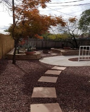 fire pit in front yard in future cactus garden