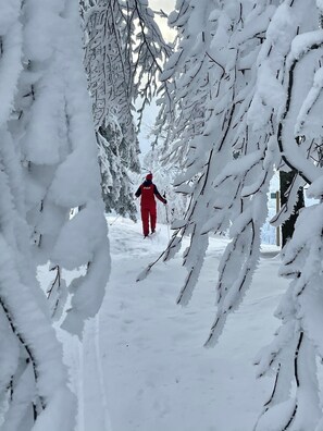 Snow and ski sports