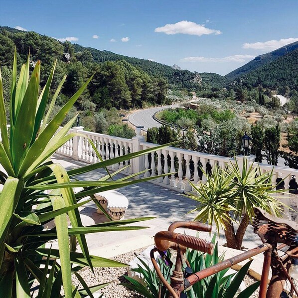 Jardines del alojamiento