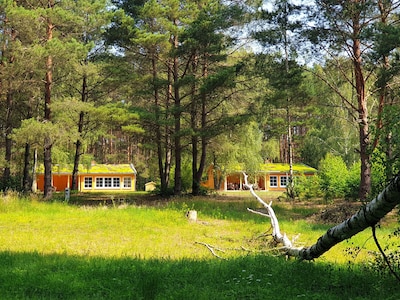 Casas de vacaciones en una parcela natural con playa privada en Zootzensee