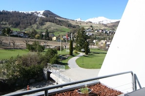 Picture 5