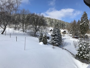 Terrain de l’hébergement 