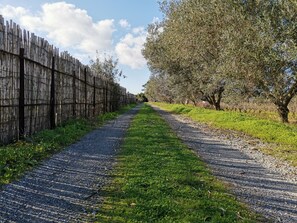 Boendeområde