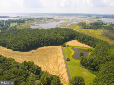 Deerfield Farm - Waterfront Estate on 56 Acres in Berlin, MD (South Point)