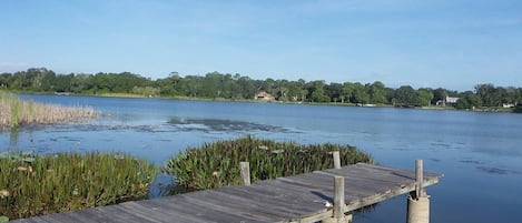 Fishing from dock 