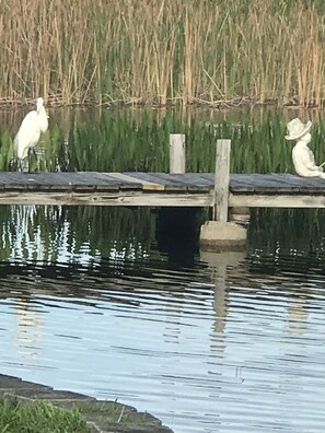 Oklassificerad bild, 2 av 21, knapp