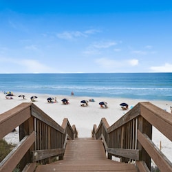 Palms at Seagrove Grounds and Amenities