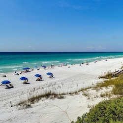 Palms at Seagrove Grounds and Amenities