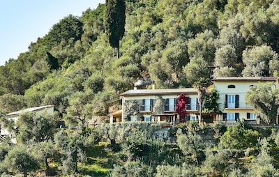 Vistas TORRE INCLINADA! Cerca de Pisa y Lucca - ¡Excelente casa en Olive Grove + piscina encantadora!
