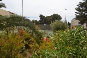 Cancha deportiva