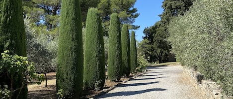 Jardines del alojamiento