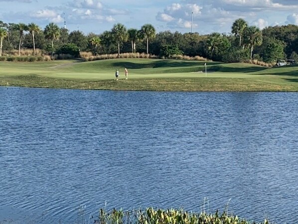 view out the Lanai onto the 4 acre lake and Esplanade's hole #4