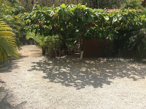 Parken unter dem Mandelbaum mit viel Schatten 