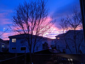 view from back