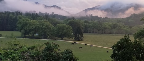 Terrain de l’hébergement 