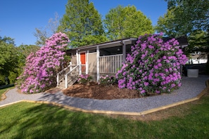 Nature surrounds the cottage