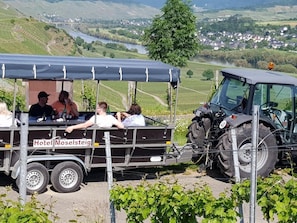 Övrigt