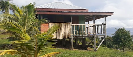 view of the cabin from the fruit garden