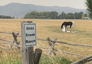 See the horses drink from the stream, graze the pasture as you enter the ranch.