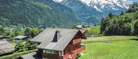 Vue sur le Mont Blanc