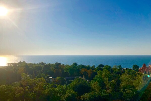 Beach/ocean view