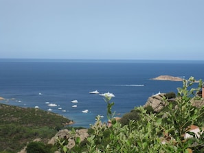 Panoramic sea view