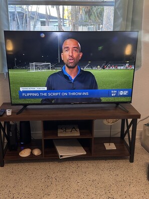 Television